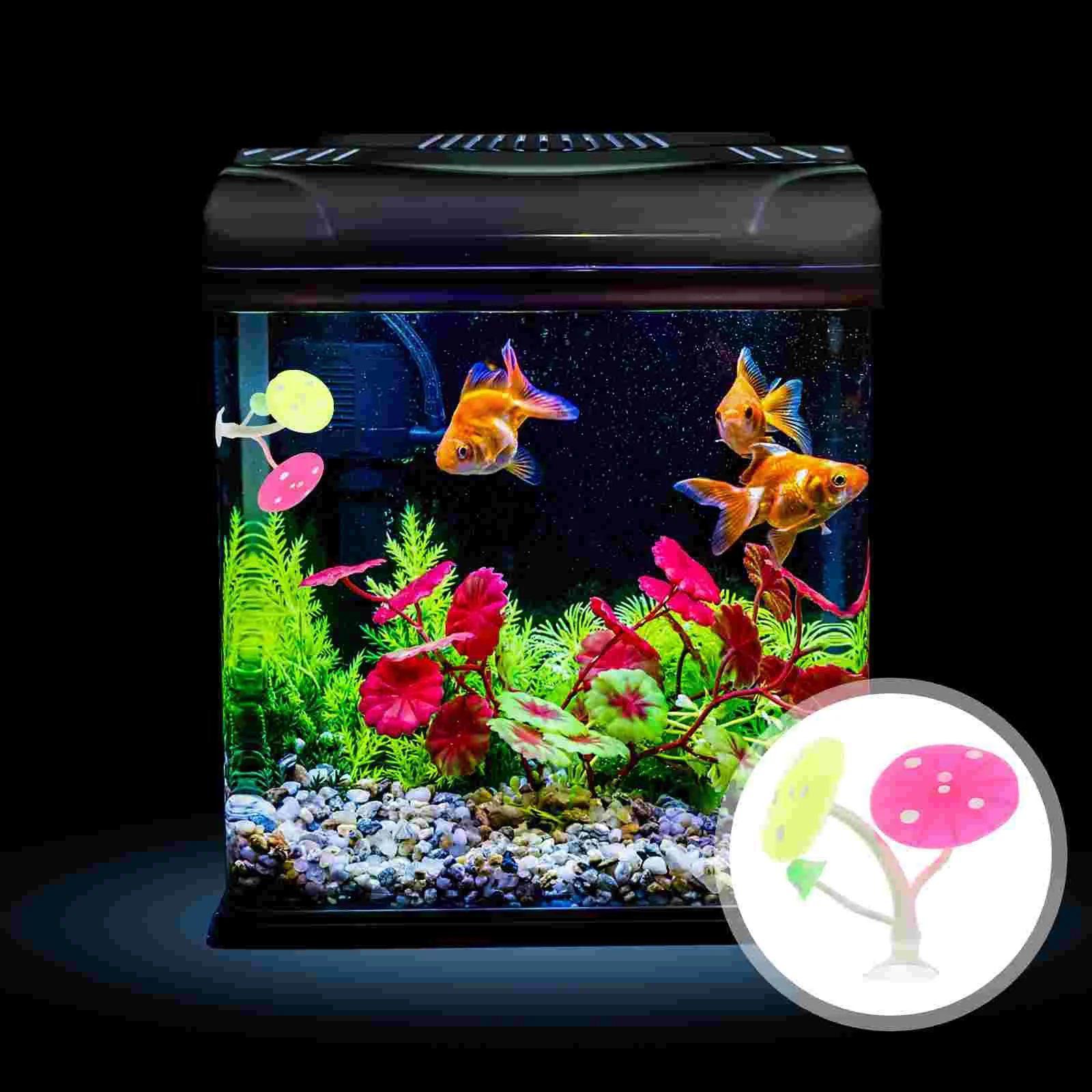 Betta Resting Leaves Muicle Plants Natural Double Leaf Hammock Suction Cup Betta Resting Leaf Silica Gel Mushroom Aquarium Decor
Betta Resting Leaves Muicle Plants Natural Double Leaf Hammock Suction Cup Betta Resting Leaf Silica Gel Mushroom Aquarium Decor
