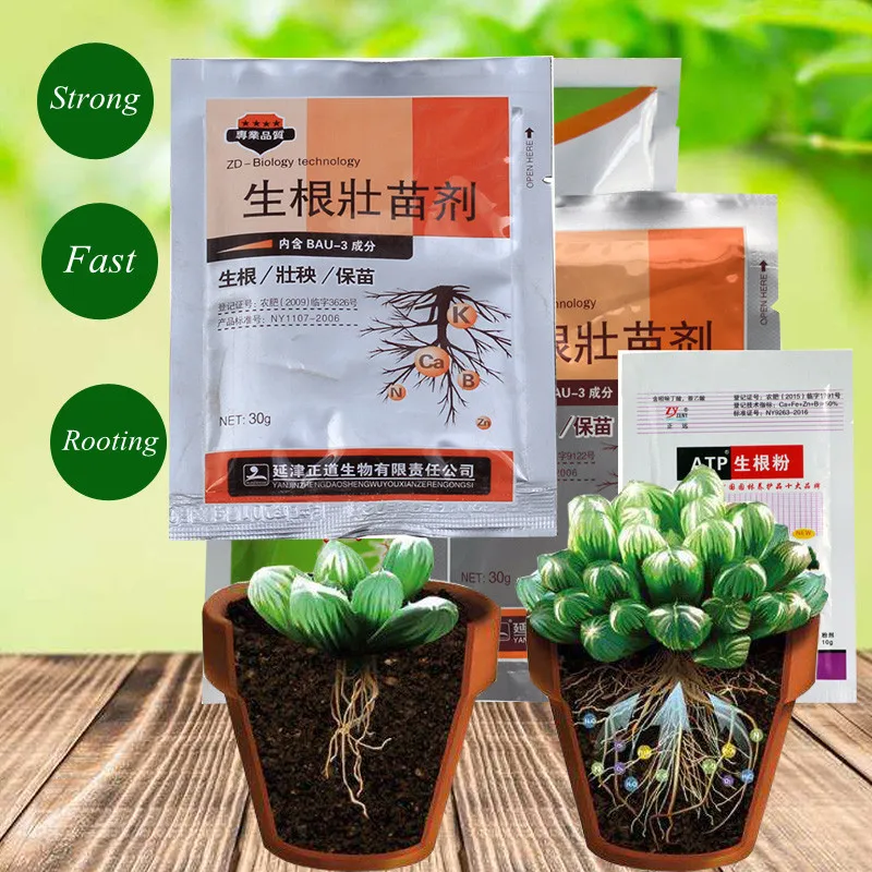 5PCS Seedling Growth Improve Hormones Fertilizer Extra Fast Plant Rooting Powder For Flower Tree Transplanting Succulents Bonsai 
5PCS Seedling Growth Improve Hormones Fertilizer Extra Fast Plant Rooting Powder For Flower Tree Transplanting Succulents Bonsai