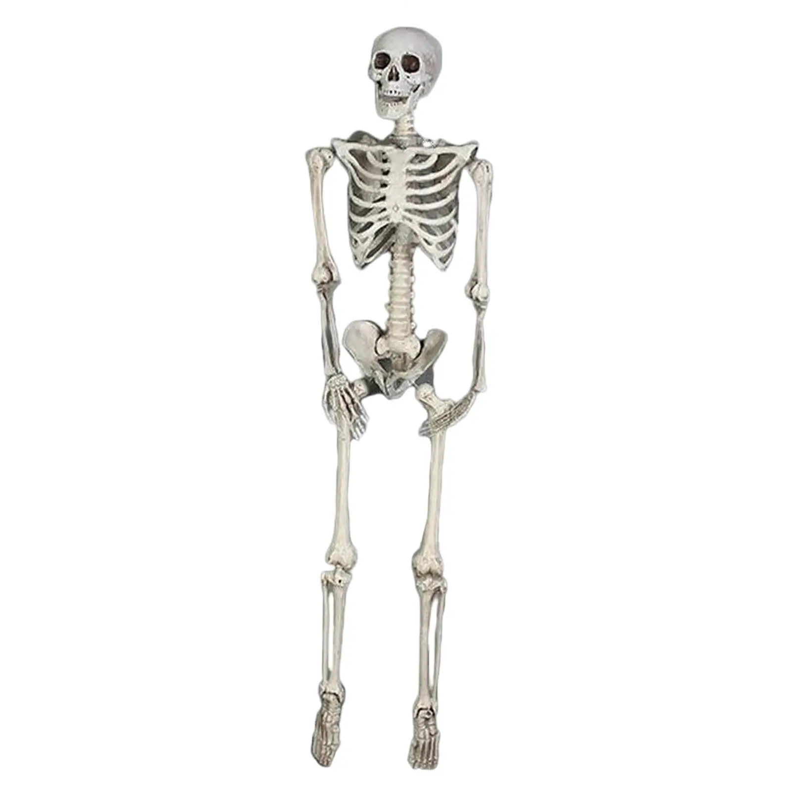 

185cm Simulation Skeleton Decor Gifts Artwork Scene Layout Accs Halloween Props for Office Desktop Holiday Themed Parties Porch