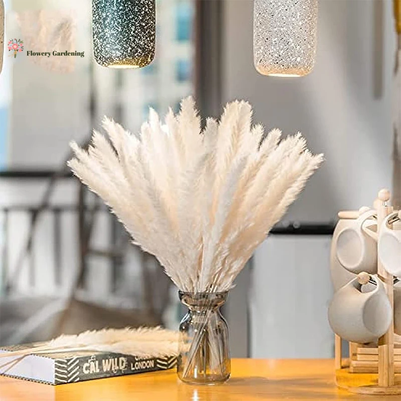 20Pcs Natural Dried Flowers Pampas Wedding Party Christmas Decoration Artificial Plants Boho Home Autumn Decoration Ornament
20Pcs Natural Dried Flowers Pampas Wedding Party Christmas Decoration Artificial Plants Boho Home Autumn Decoration Ornament