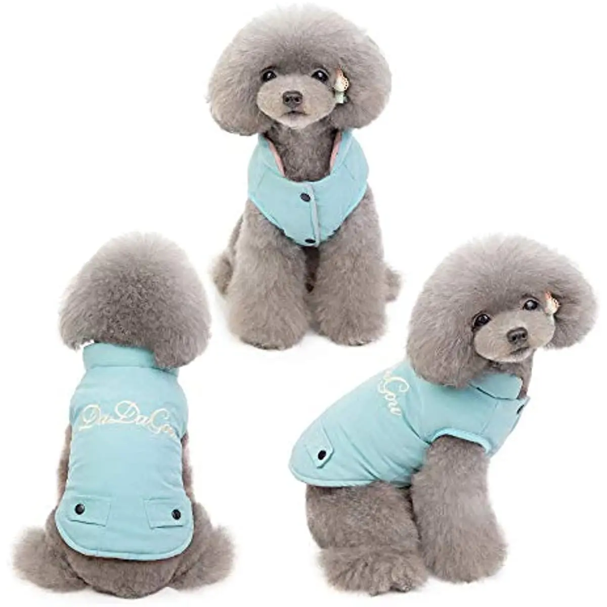 Colorful Embroidered Warm Dogs Puffer Vest Reversible Winter Weather Coat Jacket for Puppy
Colorful Embroidered Warm Dogs Puffer Vest Reversible Winter Weather Coat Jacket for Puppy
