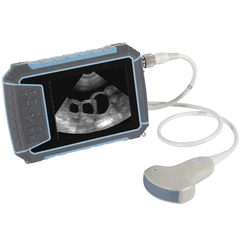 Waterproof Veterinary Ultrasound Scanner Veterinary Ultrasound Machine Portable
Waterproof Veterinary Ultrasound Scanner Veterinary Ultrasound Machine Portable