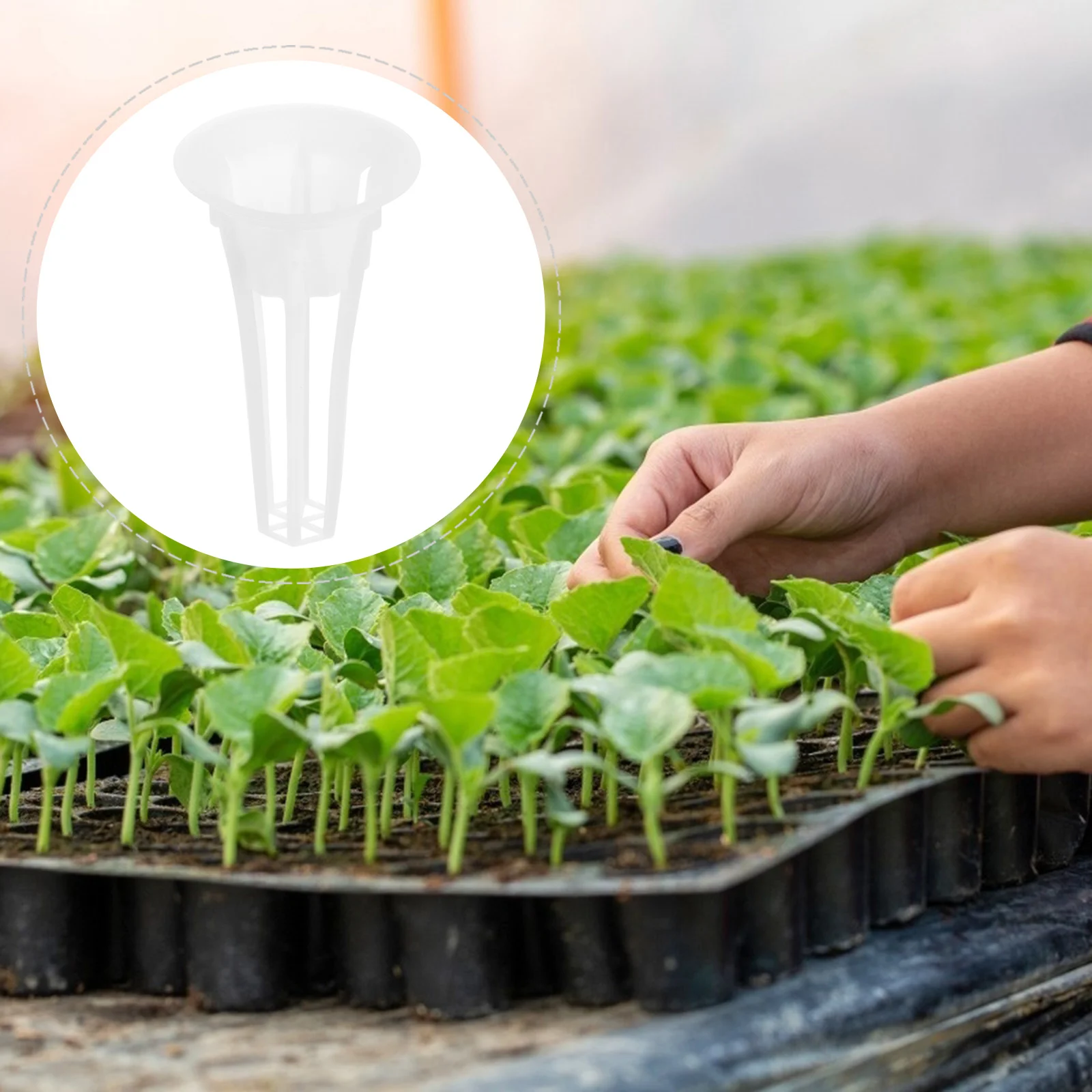 50 Pcs Planting Basket Practical Useful Plastic Premium Hydroponic Basket Growth Basket for Home Garden
50 Pcs Planting Basket Practical Useful Plastic Premium Hydroponic Basket Growth Basket for Home Garden