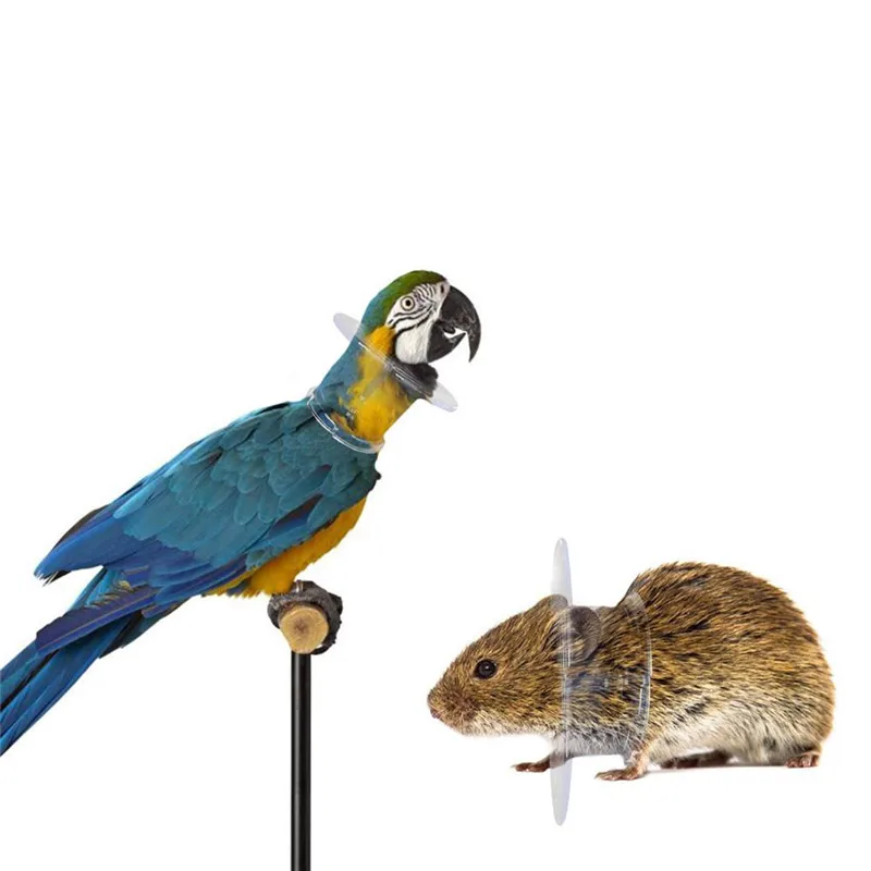 Transparent Color Bird Protection Collar Parrot Anti-Bite Feather Bird Collar Anti-Feather Picking Ring Pet Supplies
Transparent Color Bird Protection Collar Parrot Anti-Bite Feather Bird Collar Anti-Feather Picking Ring Pet Supplies
