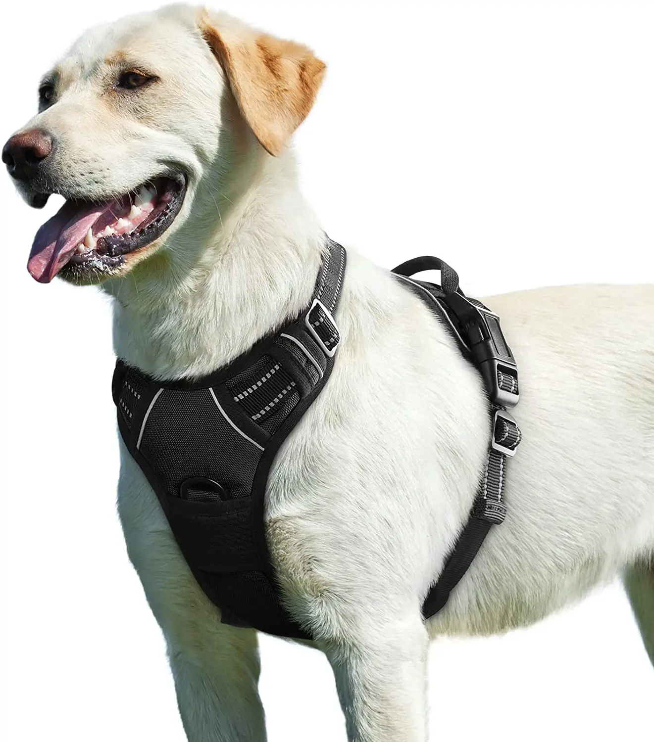 Dog Harness No Pull Dog Walking Harness with Reflective Adjustable Soft Padded Vest Handle No-Choke Pet Harness for Large Dogs
Dog Harness No Pull Dog Walking Harness with Reflective Adjustable Soft Padded Vest Handle No-Choke Pet Harness for Large Dogs