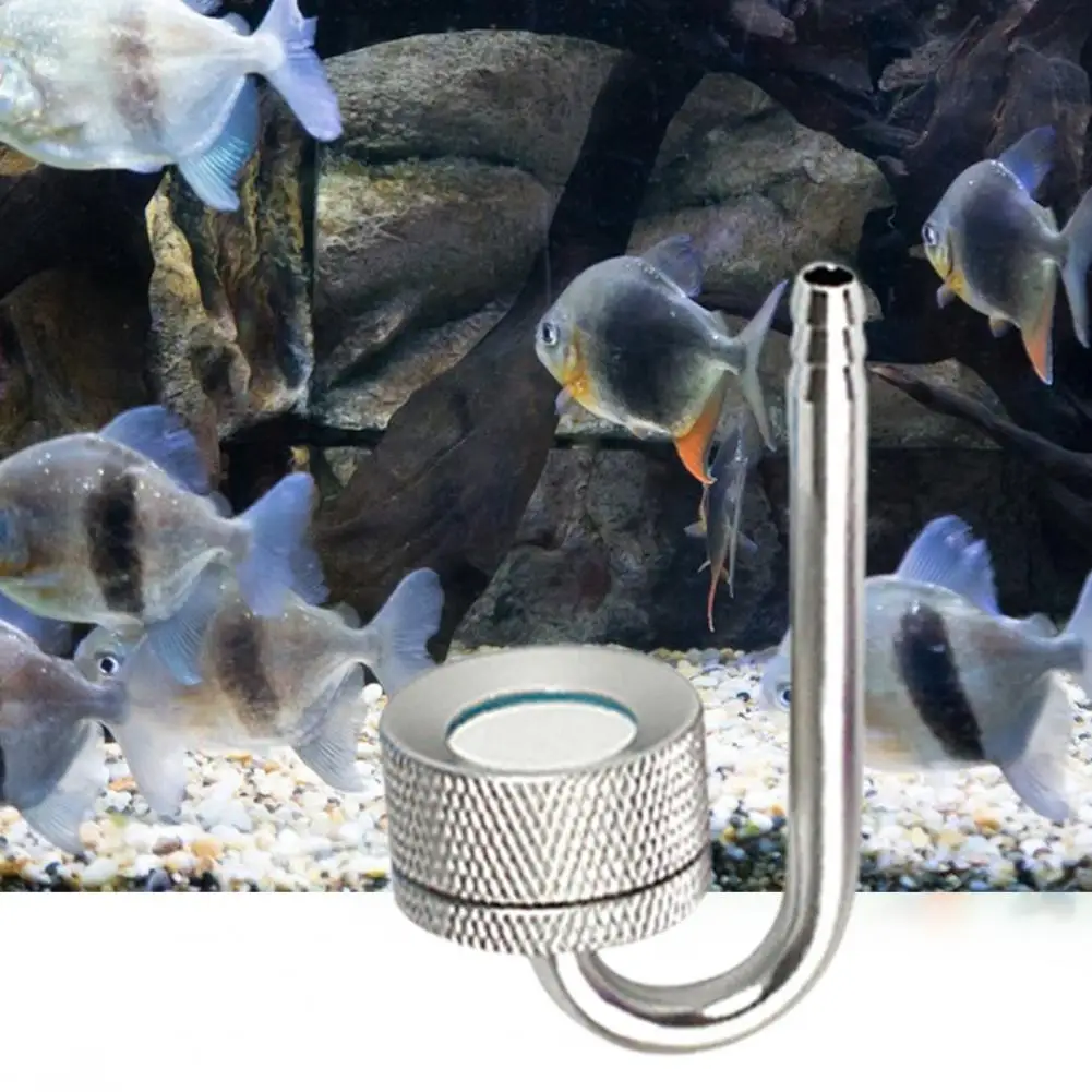 Air Atomizer Reusable Ultra Silent High Dissolved Oxygen Rate Fine Bubble CO2 Fish Tank Diffuser Atomizer for Aquarium
Air Atomizer Reusable Ultra Silent High Dissolved Oxygen Rate Fine Bubble CO2 Fish Tank Diffuser Atomizer for Aquarium