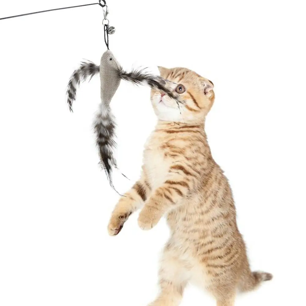 Mini Funny Cat With Bell Sucker Interactive Simulation Bird Feather Bird Wand Toy Cat Supplies Cat Toy Cat Stick Toy
Mini Funny Cat With Bell Sucker Interactive Simulation Bird Feather Bird Wand Toy Cat Supplies Cat Toy Cat Stick Toy