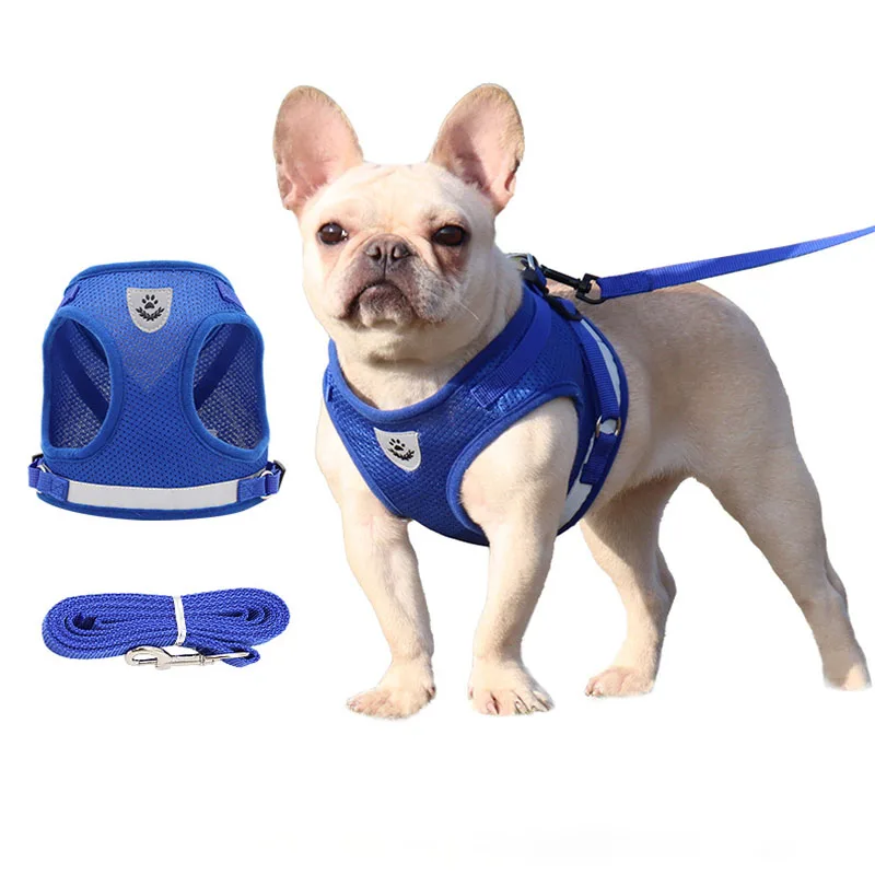 Pet Leash Dog Harness Dog Collar Dog Traction Rope Set Safety Reflective Strip Adjustable Length Pet Supplies Dog Accessories
Pet Leash Dog Harness Dog Collar Dog Traction Rope Set Safety Reflective Strip Adjustable Length Pet Supplies Dog Accessories