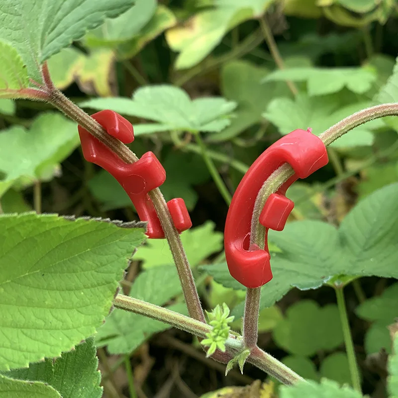 30Pcs Plant Branches Bender 90 Degree Plant Bending Growth Trainer Clips for Plant Low Stress Training Control Fixing Clip
30Pcs Plant Branches Bender 90 Degree Plant Bending Growth Trainer Clips for Plant Low Stress Training Control Fixing Clip