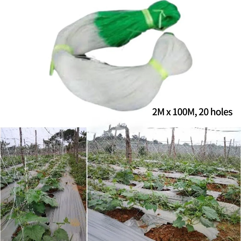 Cucumber Net Plants Climbing Net Garden Anti-aging Anti-corrosion Easy Installation Easy To Use Multi-functional
Cucumber Net Plants Climbing Net Garden Anti-aging Anti-corrosion Easy Installation Easy To Use Multi-functional