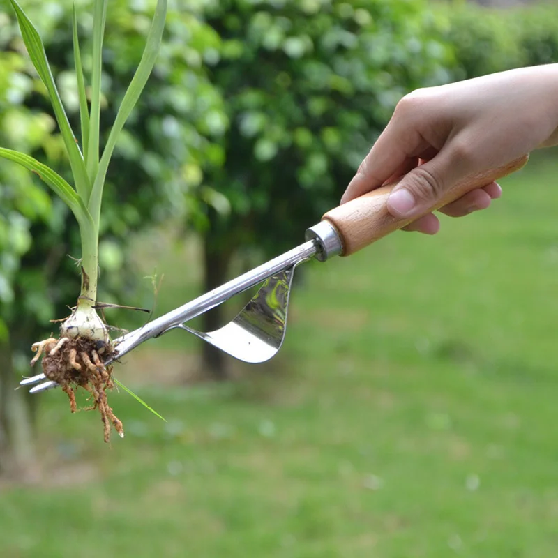 Wood Handle Stainless Steel Garden Weeder Hand Weeding Removal Cutter Dandelion Puller Tools Multifunction Weeder Transplant
Wood Handle Stainless Steel Garden Weeder Hand Weeding Removal Cutter Dandelion Puller Tools Multifunction Weeder Transplant