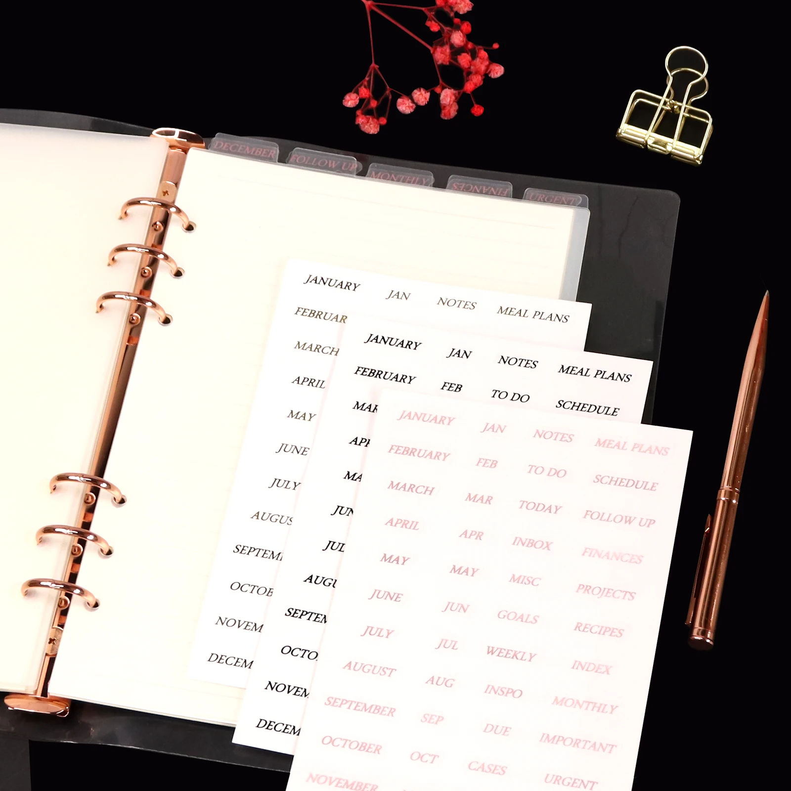 6 New Dividers Notebook Spiral Holes Arrival Pages Separator Sseparator Transparent Binder Index Top Page Sharkbang 6
6 New Dividers Notebook Spiral Holes Arrival Pages Separator Sseparator Transparent Binder Index Top Page Sharkbang 6