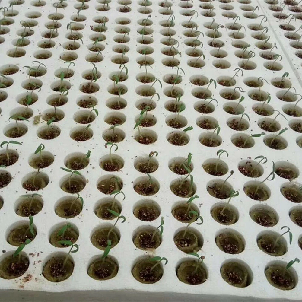 50pcs Cubes Garden Starter Plugs Hydroponic Cubes Grow Media Propagation Grow Cubes 2.7x2cm For Soilless Planting
50pcs Cubes Garden Starter Plugs Hydroponic Cubes Grow Media Propagation Grow Cubes 2.7x2cm For Soilless Planting
