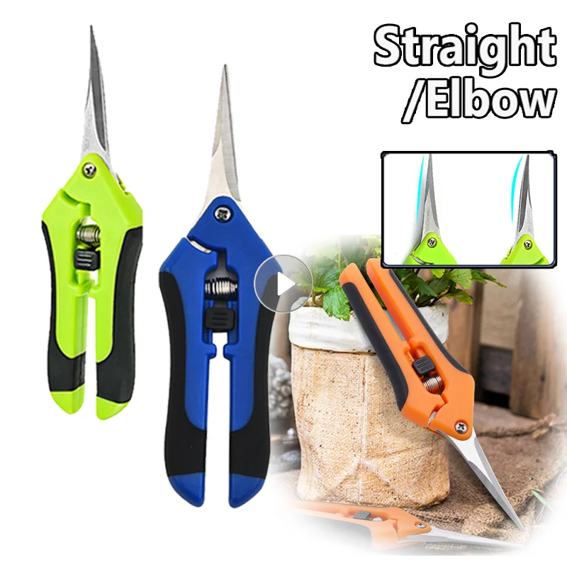 Garden Pruning Shears Straight/Elbow Whic Cut Diameter Multifunctional Fruit Trees Flowers Branches Scissors Branch Shears Tools
Garden Pruning Shears Straight/Elbow Whic Cut Diameter Multifunctional Fruit Trees Flowers Branches Scissors Branch Shears Tools