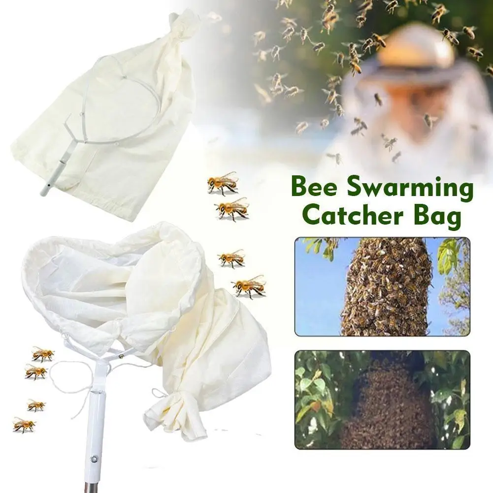 

Bee Swarming Catcher Bag Storage Case Beekeeper Tool Honeybee Swarm Equipment Beekeeping Beekeeping Bag Cage Bee L0Y1