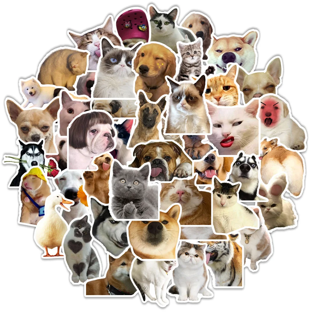 50pcs Funny Dog Cat Meme Stickers for Car Motorcycle Skateboard Laptop Pad Phone Fridge Luggage Notebook Bicycle
50pcs Funny Dog Cat Meme Stickers for Car Motorcycle Skateboard Laptop Pad Phone Fridge Luggage Notebook Bicycle
