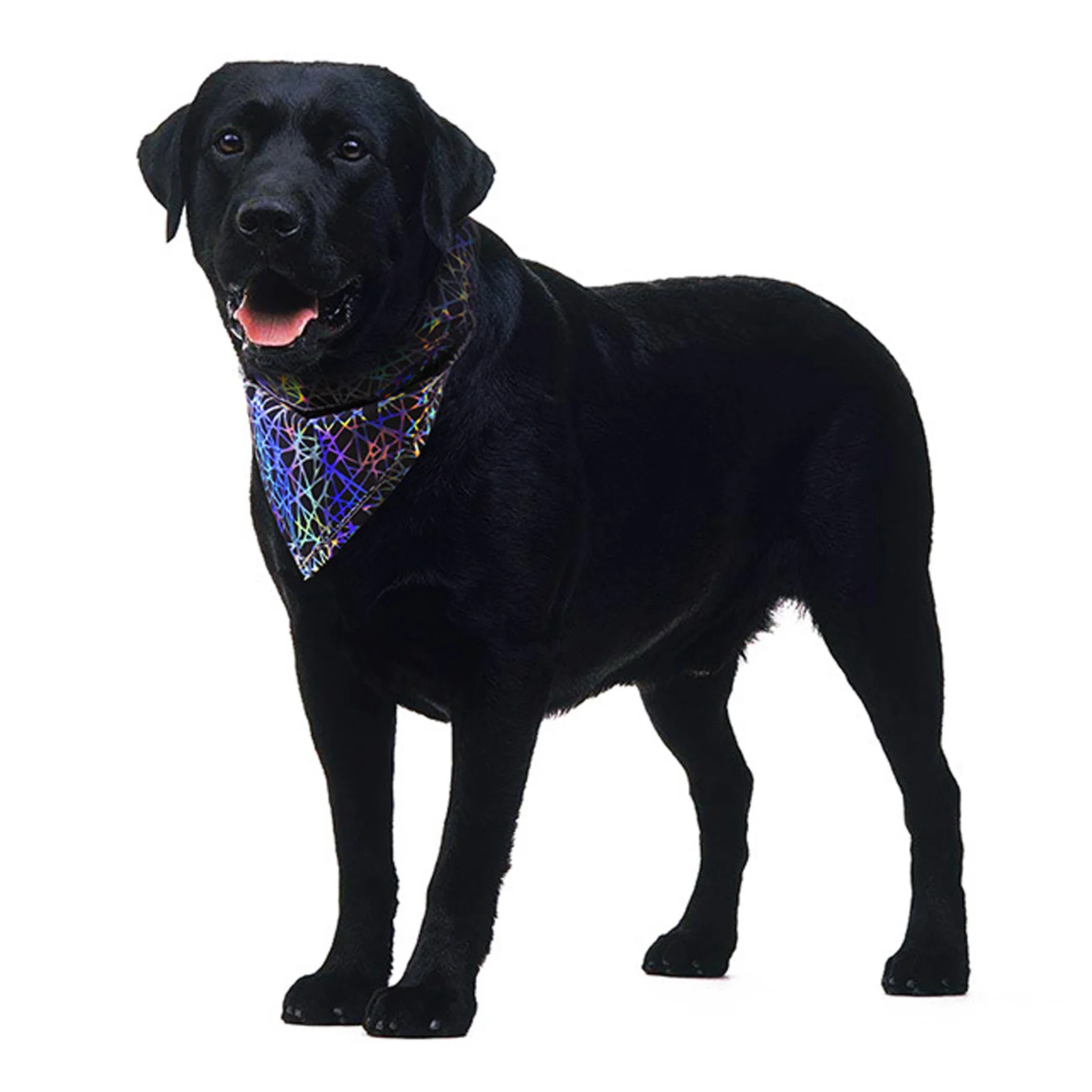 Adjustable Dog Bandana Reflective Pet Scarf Collar For Dogs Pet Supplies Cat Dog Scarf Collar Puppy Pet Neckerchief
Adjustable Dog Bandana Reflective Pet Scarf Collar For Dogs Pet Supplies Cat Dog Scarf Collar Puppy Pet Neckerchief