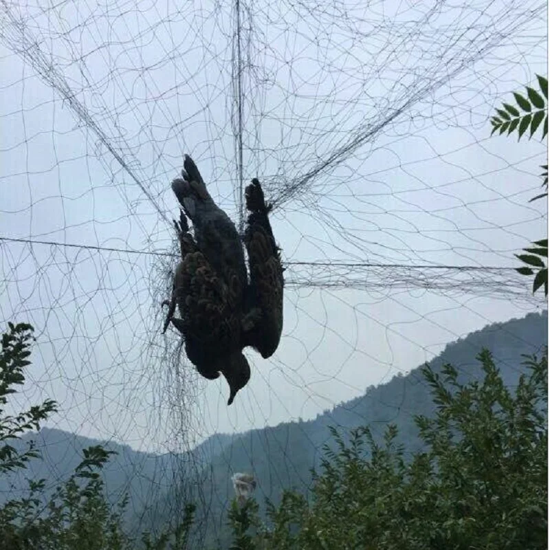3x15M/Prevent Big Bird Nets, Bird Nets, Forest Protection Nets, Fruit Farmers Do Not Hurt Birds, Orchard Protection Bird Nets
3x15M/Prevent Big Bird Nets, Bird Nets, Forest Protection Nets, Fruit Farmers Do Not Hurt Birds, Orchard Protection Bird Nets
