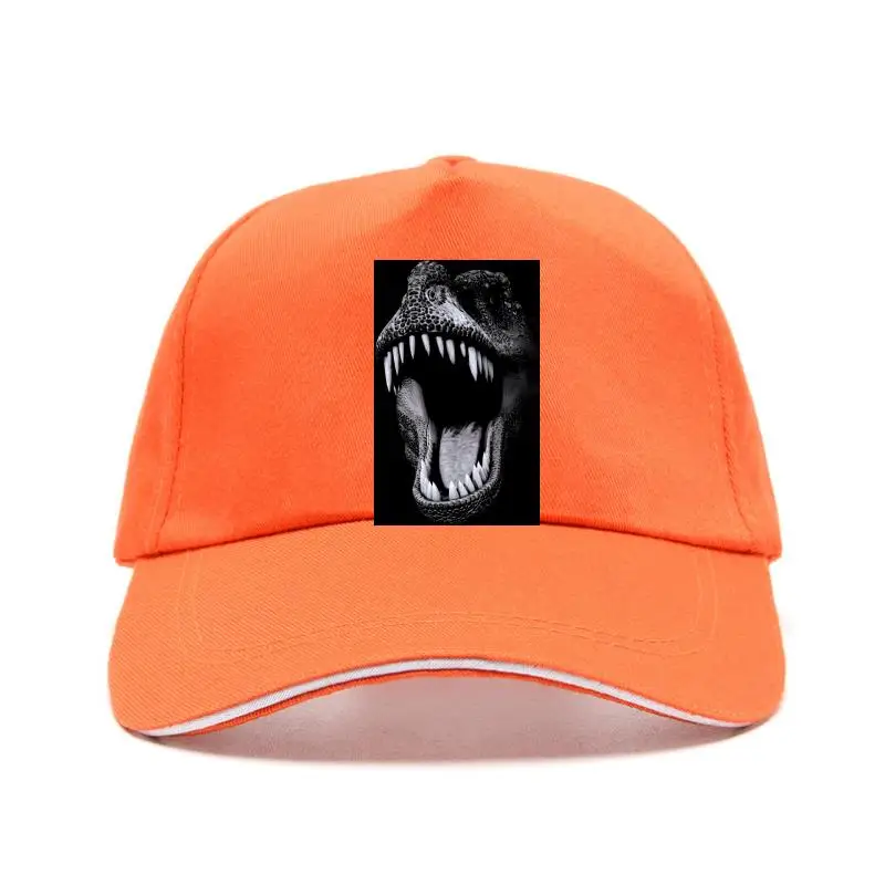 Бейсболка с большим лицом, светящаяся на горе. Светится в темноте T-Rex NEW
Бейсболка с большим лицом, светящаяся на горе. Светится в темноте T-Rex NEW