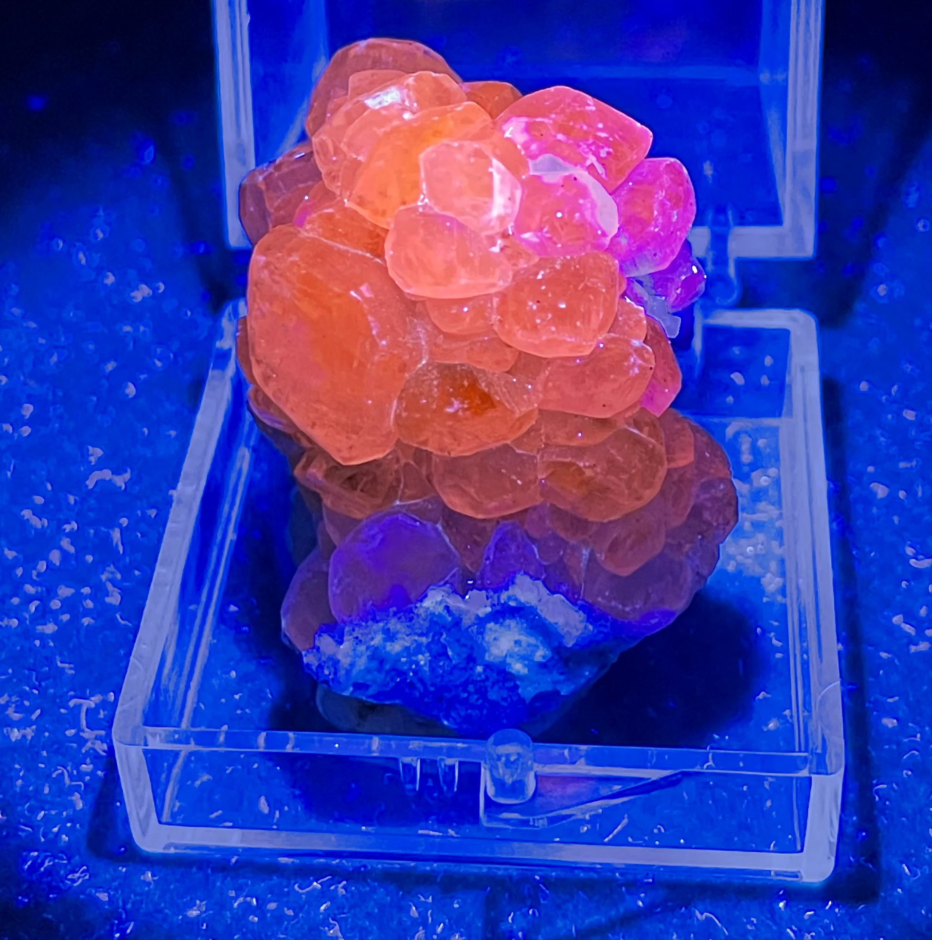 NEW! 100% natural Fluorescent calcite mineral specimen stones and crystals healing crystals quartz gemstones (box size 3.4cm)
NEW! 100% natural Fluorescent calcite mineral specimen stones and crystals healing crystals quartz gemstones (box size 3.4cm)