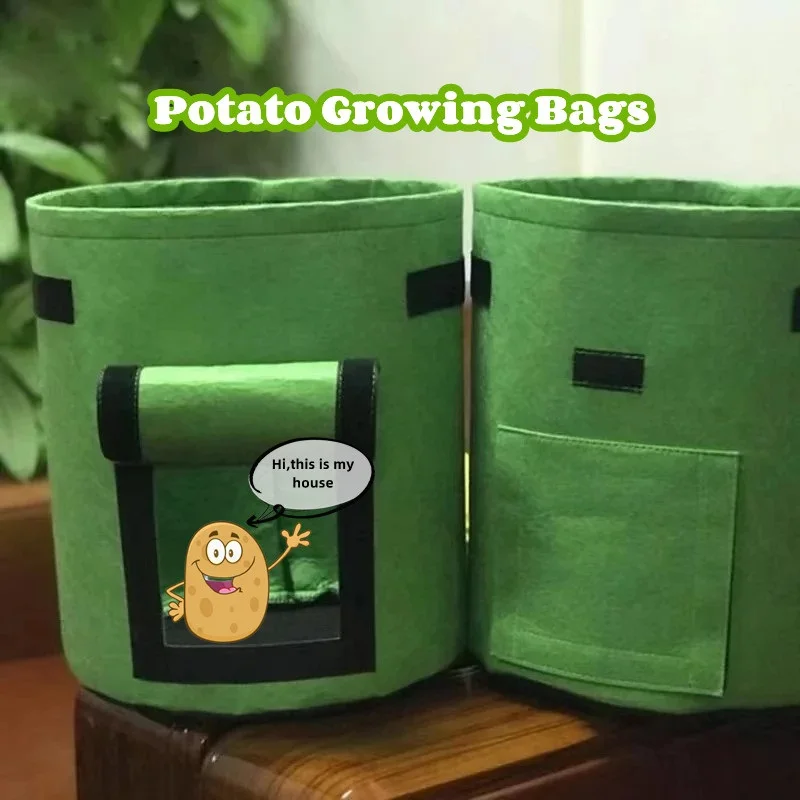 Felt Plant Grow Tent Box Bag Nonwoven Fabric Garden Potato Pot Greenhouse Garden Vegetable Growing Bags Moisturizing Tool 3 Size
Felt Plant Grow Tent Box Bag Nonwoven Fabric Garden Potato Pot Greenhouse Garden Vegetable Growing Bags Moisturizing Tool 3 Size