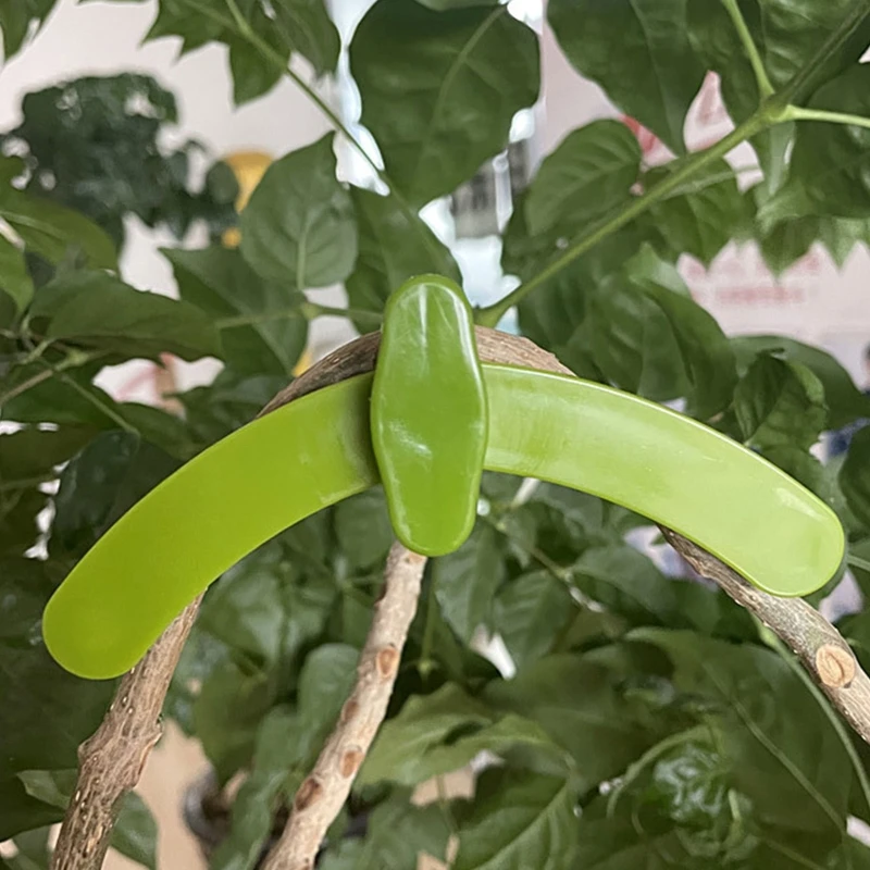 Anti Deformed Branch Pulling Shaping Device for Fruit Trees Garden Yard Patio Bonsai Tools Plants Modeling Accessories
Anti Deformed Branch Pulling Shaping Device for Fruit Trees Garden Yard Patio Bonsai Tools Plants Modeling Accessories