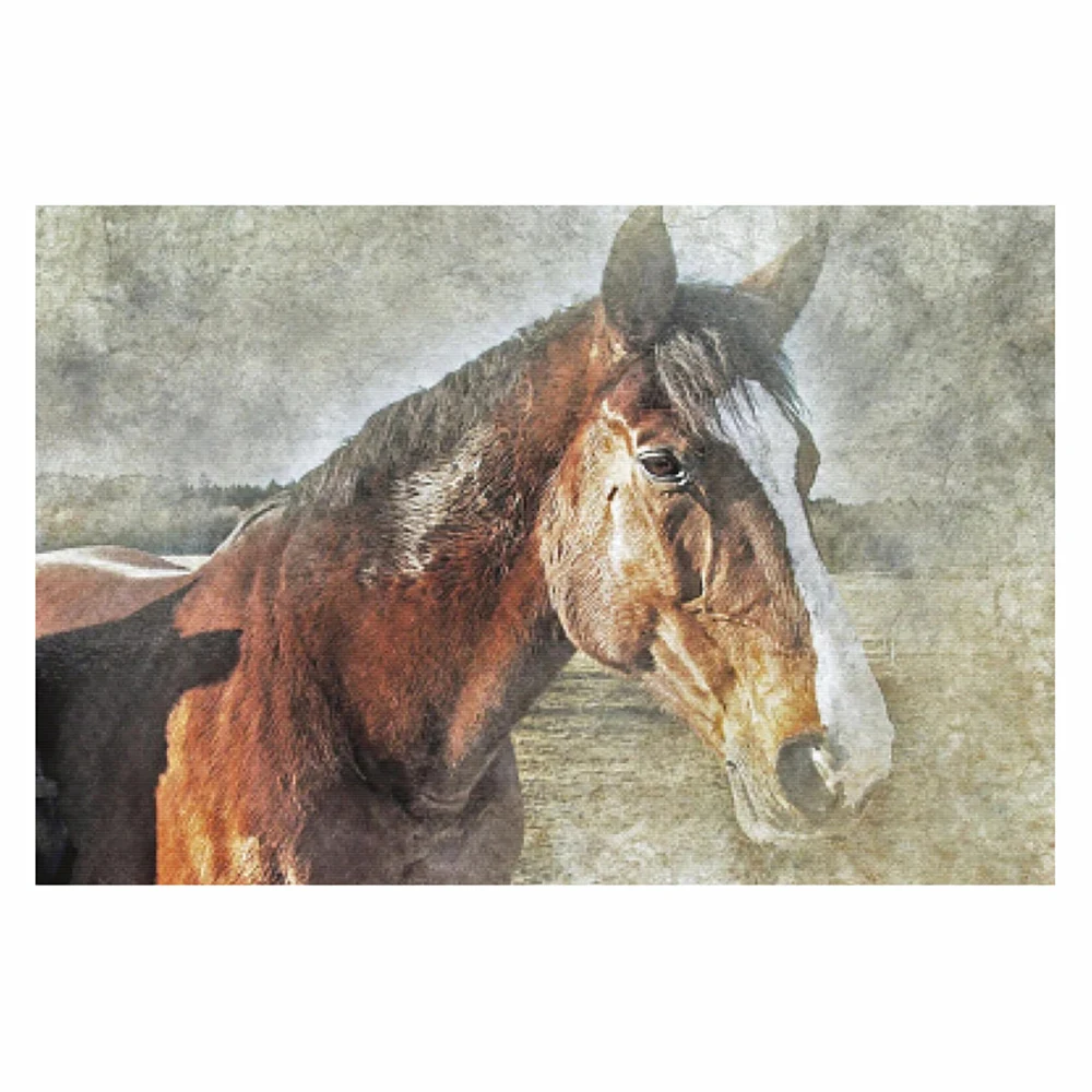 DIY 5D diamond painting stallion cross stitch set full diamond embroidery mosaic animal pictures decorative gifts 
DIY 5D diamond painting stallion cross stitch set full diamond embroidery mosaic animal pictures decorative gifts
