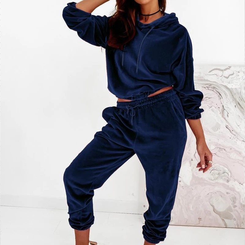 Elegant Soft Velvet Hoodies Tracksuit Outfits Casual Long Sleeve Solid Two Piece Suits Women Fashion Pullover and Sportswear Set
Elegant Soft Velvet Hoodies Tracksuit Outfits Casual Long Sleeve Solid Two Piece Suits Women Fashion Pullover and Sportswear Set