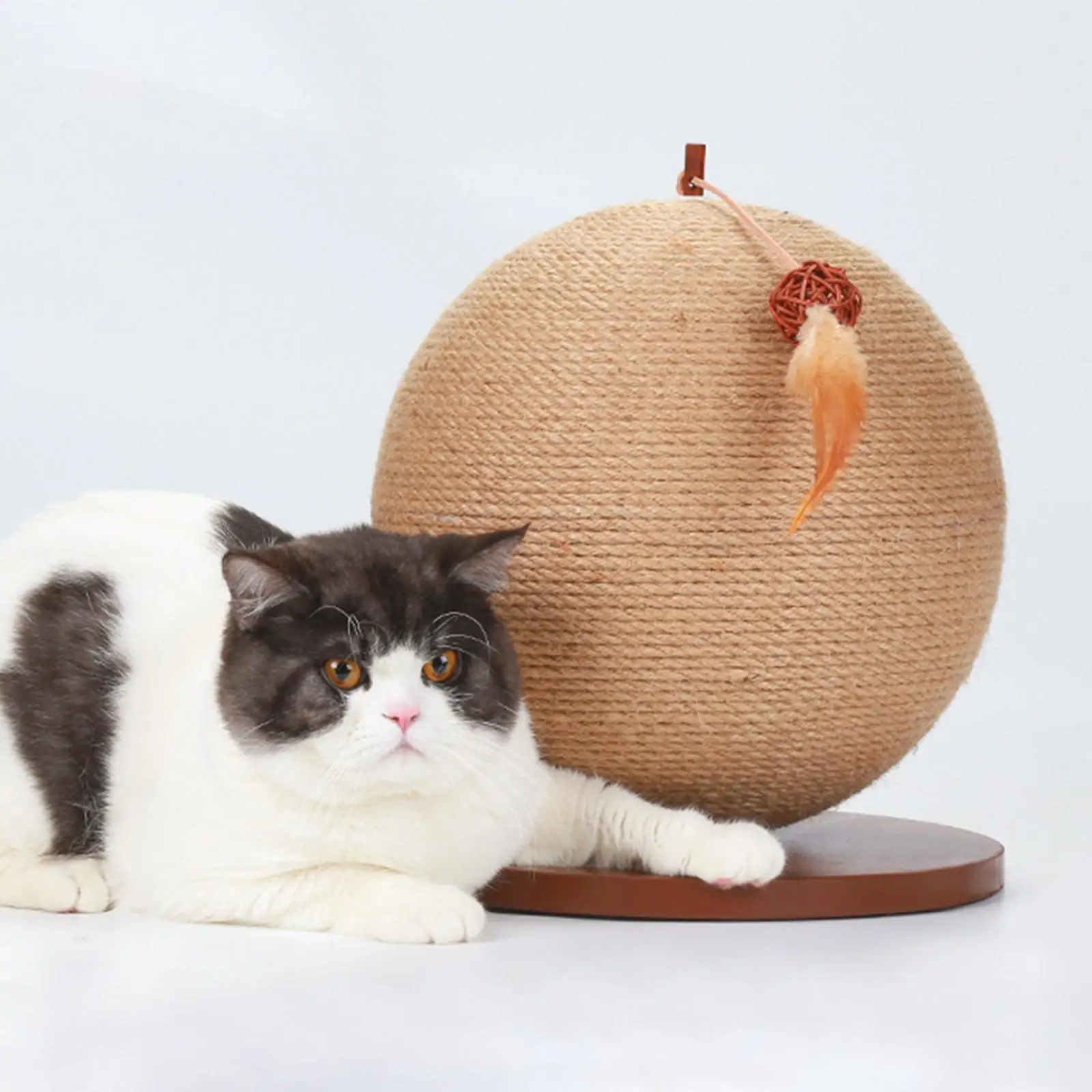 Funny Cat Scratching Ball Pet Supplies Accessories Rolling Ball Kitten Toys for Cats Kittens Training Indoor Pet Exercise
Funny Cat Scratching Ball Pet Supplies Accessories Rolling Ball Kitten Toys for Cats Kittens Training Indoor Pet Exercise