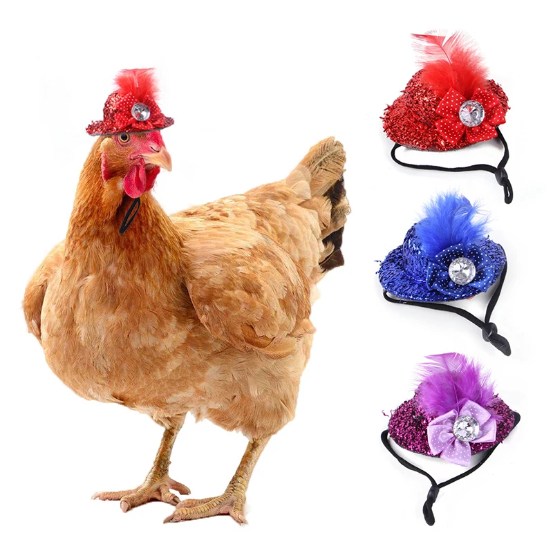 Chicken Hat for Hens Tiny Pets Funny Chicken Accessories Feather Top Hat Rooster Parrot Hamster Poultry Stylish Show Costum 
Chicken Hat for Hens Tiny Pets Funny Chicken Accessories Feather Top Hat Rooster Parrot Hamster Poultry Stylish Show Costum