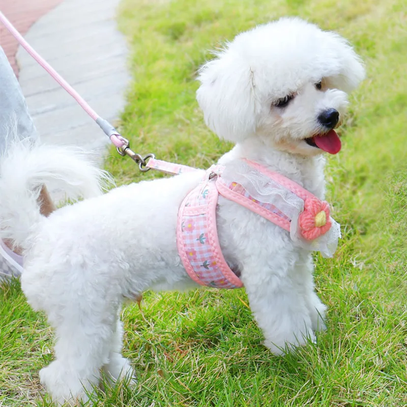 Ins New Dog Traction Rope Small Dog Anti Break Free Cat Rope Yellow Plaid Lace Traction Suit Dog Harness and Leash Set
Ins New Dog Traction Rope Small Dog Anti Break Free Cat Rope Yellow Plaid Lace Traction Suit Dog Harness and Leash Set