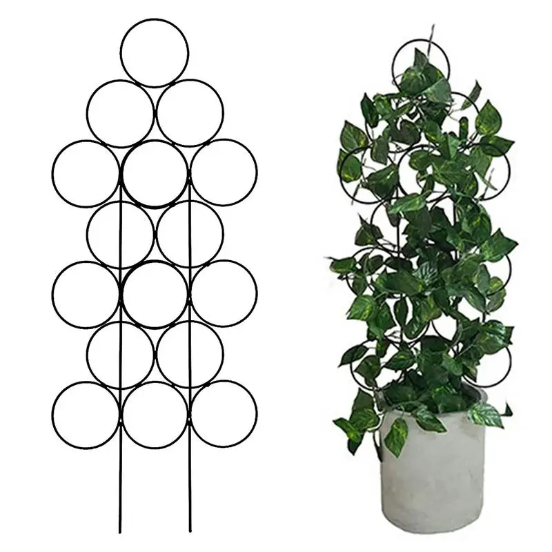 Рама для скалолазания растений, рама для выращивания растений, решетка для горшечных растений, рама для лазания, ротанга, круглая маленькая полка
Рама для скалолазания растений, рама для выращивания растений, решетка для горшечных растений, рама для лазания, ротанга, круглая маленькая полка