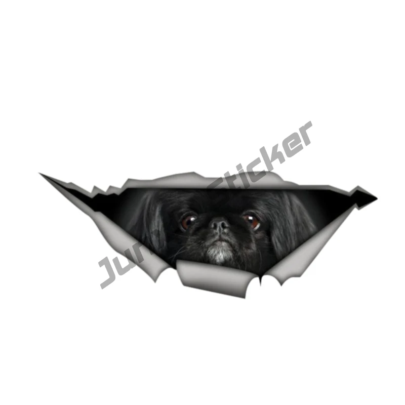 Cartoon Car Sticker Black Pekingese Dog Vinyl Reflective Car Window High Quality Accessories Bumper Trunk PVC KK13* 5cm
Cartoon Car Sticker Black Pekingese Dog Vinyl Reflective Car Window High Quality Accessories Bumper Trunk PVC KK13* 5cm