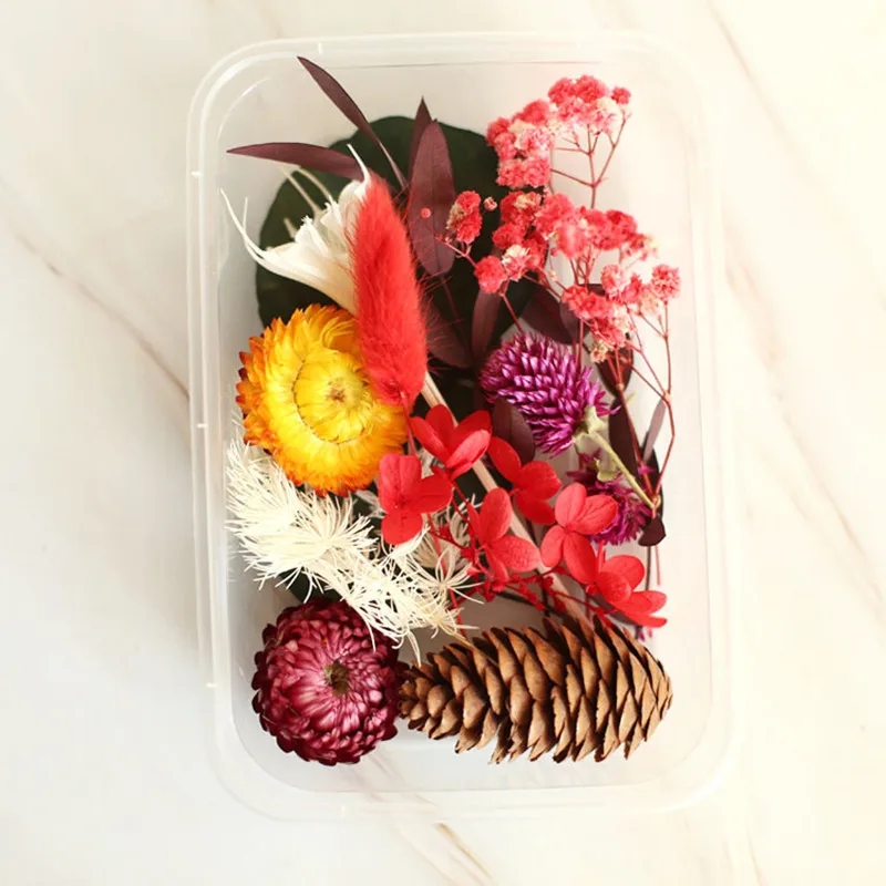 Mix Dried Flower Material Package Holiday Activity Floral Products DIY Scattered Preserved Fresh Flower Gypsophila Rose
Mix Dried Flower Material Package Holiday Activity Floral Products DIY Scattered Preserved Fresh Flower Gypsophila Rose