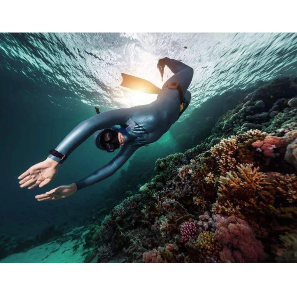 Scuba Diving Wrist Strap Wristbands Adjustable Free Diving Hanging Lanyard Safety Ropes Swimming Accessories Tech Dive
Scuba Diving Wrist Strap Wristbands Adjustable Free Diving Hanging Lanyard Safety Ropes Swimming Accessories Tech Dive
