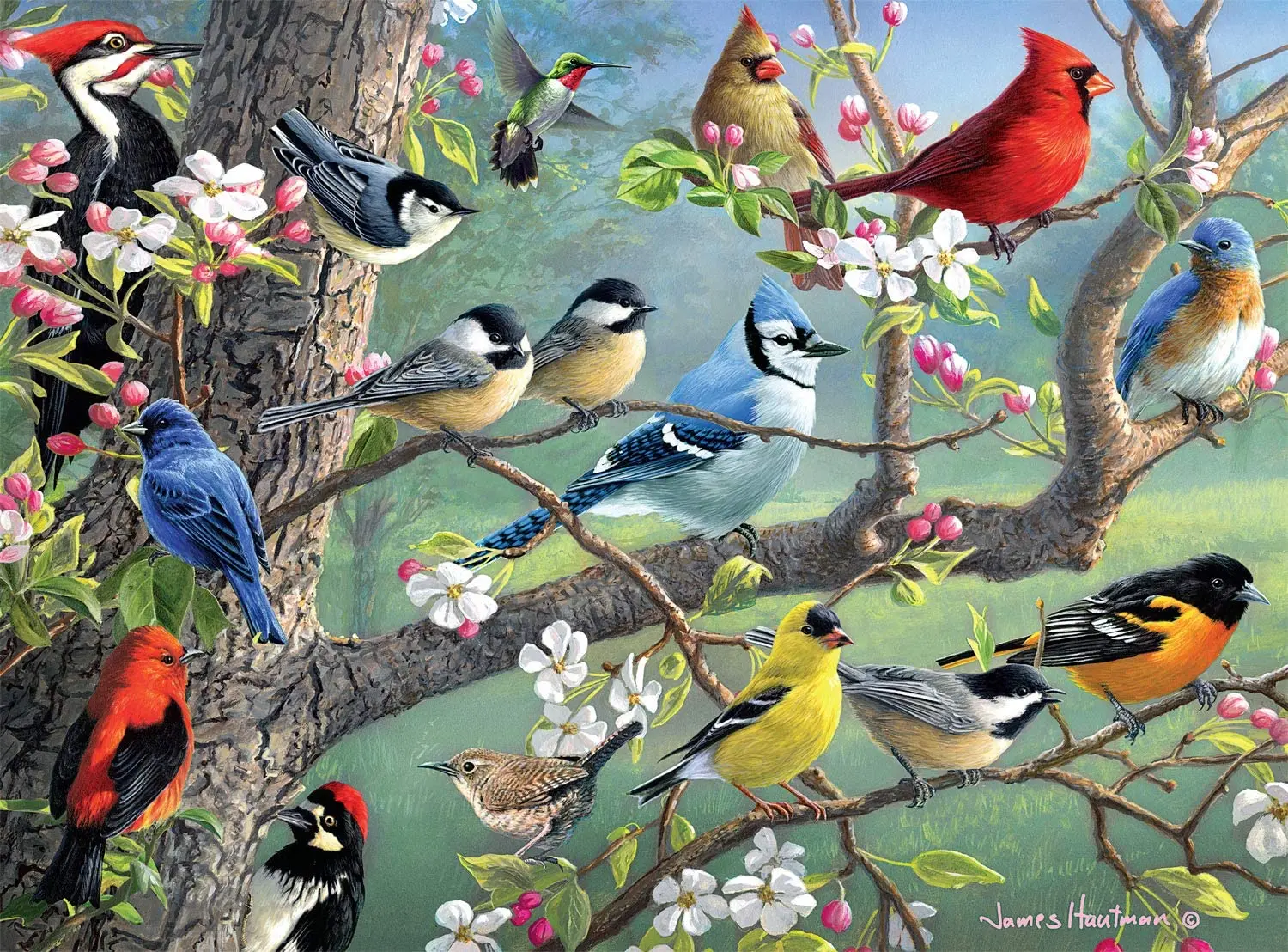 Birds in an Orchard Educational Jigsaw Puzzles for Adults Teens Child Brain Challenge Daily Game learning toys for children
Birds in an Orchard Educational Jigsaw Puzzles for Adults Teens Child Brain Challenge Daily Game learning toys for children