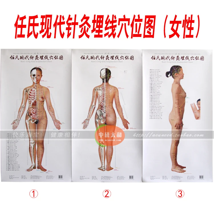 

3pcs/set Standard Meridian Points of Human Wall Chart Female Acupuncture Massage Point Map Flipchart Chinese and English