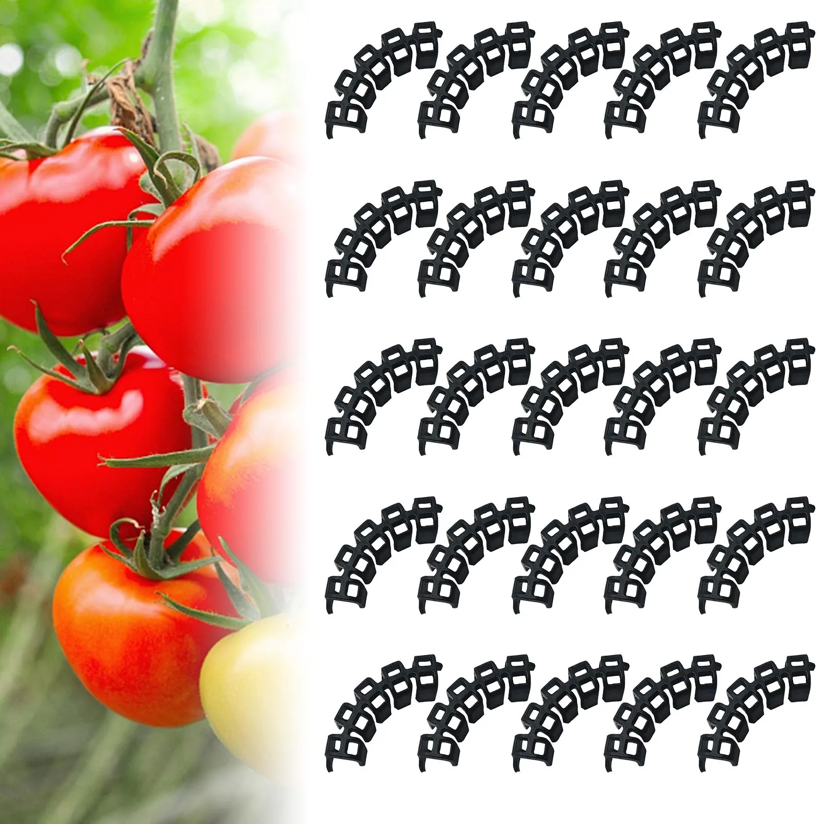 Tomato Clip Bender Low Stress Training Bender Essential Gardening Tools For Fixation Of Greenhouse Cherry Tomatoes Grape Vine
Tomato Clip Bender Low Stress Training Bender Essential Gardening Tools For Fixation Of Greenhouse Cherry Tomatoes Grape Vine