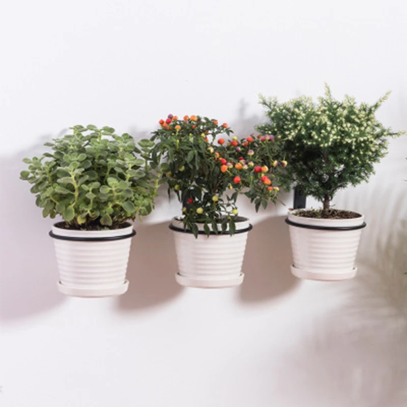 3pcs Garden Flower Pot Trays Wall Mounted Folding Metal Pot Ring Holder Flower Planter Tray Stand Flower Pot Balcony
3pcs Garden Flower Pot Trays Wall Mounted Folding Metal Pot Ring Holder Flower Planter Tray Stand Flower Pot Balcony