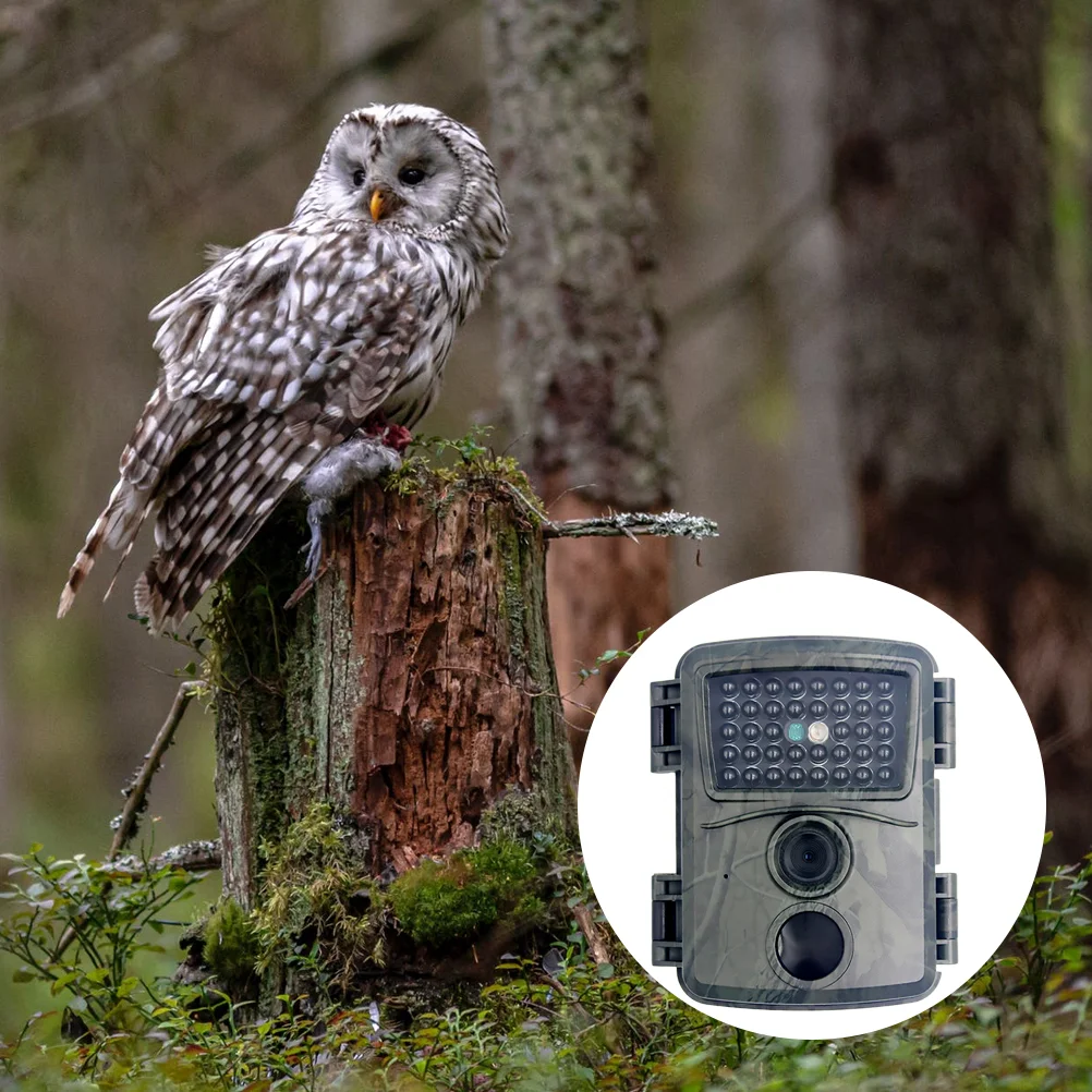 Waterproof Cameras 12MP Outdoor Hunting 1080p Sensor Night Vision Induction Plastic
Waterproof Cameras 12MP Outdoor Hunting 1080p Sensor Night Vision Induction Plastic