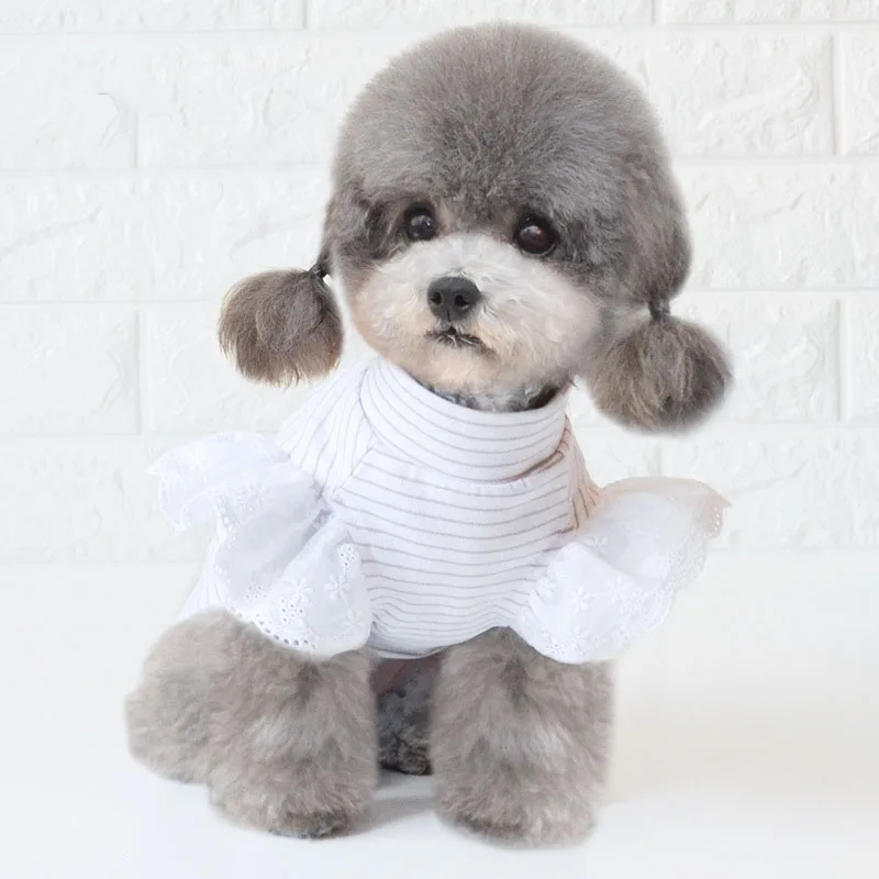 Summer Dog Clothes Small Dogs Shirt Cat Puppy Dog Costume T-shirt Corgi Yorkie Poodle Pomeranian Bichon Schnauzer Pet Clothing S 
Summer Dog Clothes Small Dogs Shirt Cat Puppy Dog Costume T-shirt Corgi Yorkie Poodle Pomeranian Bichon Schnauzer Pet Clothing S