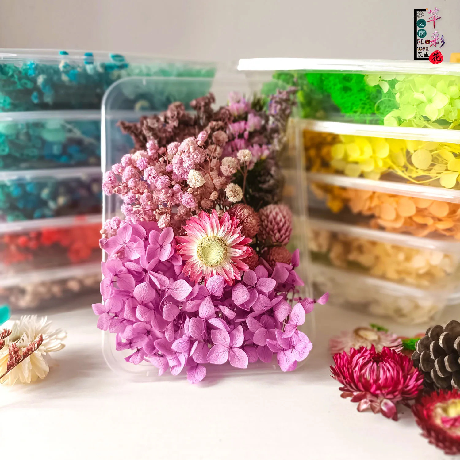 Real Dried Pressed Flowers for Resin Molds,Dry Flowers for Resin Epoxy Jewelry Nail Art Pendant Crafts Candle Making Nails Décor
Real Dried Pressed Flowers for Resin Molds,Dry Flowers for Resin Epoxy Jewelry Nail Art Pendant Crafts Candle Making Nails Décor
