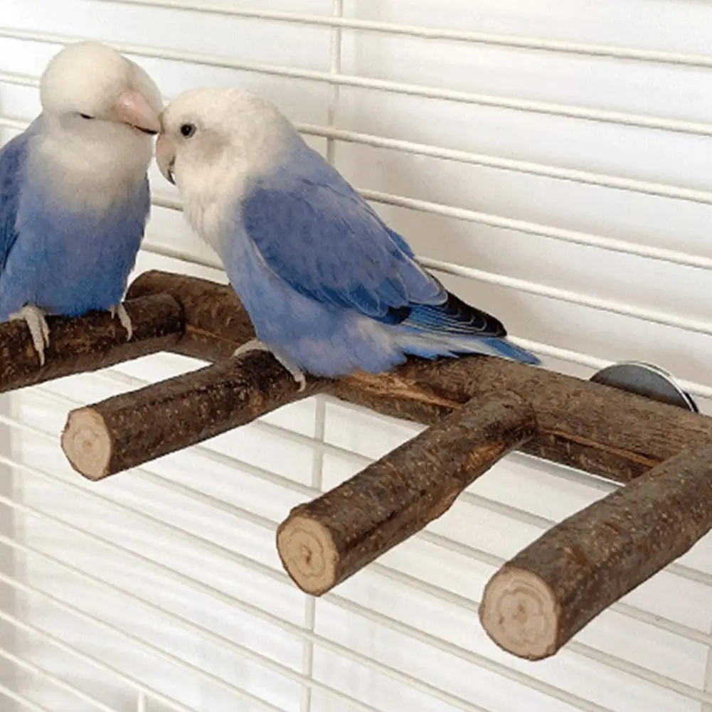 Bird Wooden Ladder Standing Climbing Chewing Toys Perch Stand Bird Cage Accessories For Small Medium Parrots Parakeet 5/7 Steps
Bird Wooden Ladder Standing Climbing Chewing Toys Perch Stand Bird Cage Accessories For Small Medium Parrots Parakeet 5/7 Steps