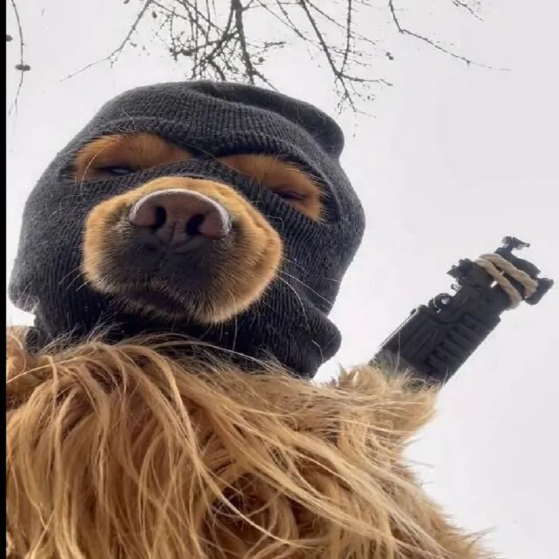 cs headgear dog headgear pet owners can use riding windproof warm plus velvet cool handsome mask cap pet cap
cs headgear dog headgear pet owners can use riding windproof warm plus velvet cool handsome mask cap pet cap