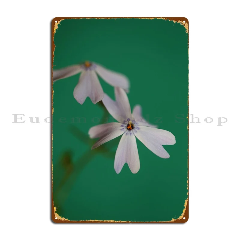 Цветущий цветок Phlox, металлический плакат, украшение для гаража, украшение для клуба, железный кинотеатр, жестяной плакат
Цветущий цветок Phlox, металлический плакат, украшение для гаража, украшение для клуба, железный кинотеатр, жестяной плакат