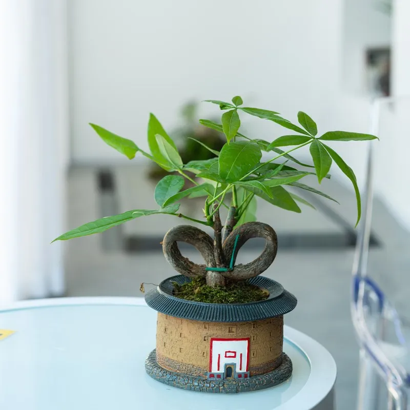 Creative Retro Tulou Resin Flower Pot Succulent Planter Flower Pot Bonsai Multi-purpose Pen Holder Resin Crafts Ornaments Wholes
Creative Retro Tulou Resin Flower Pot Succulent Planter Flower Pot Bonsai Multi-purpose Pen Holder Resin Crafts Ornaments Wholes