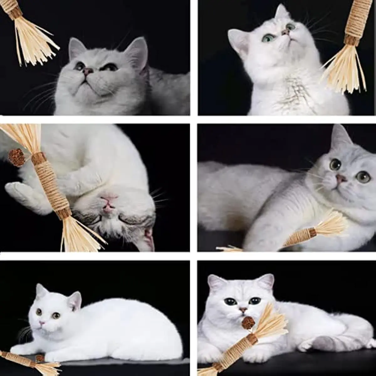 

Игрушки для кошек, жевательная палочка для кошачьей мяты, натуральная игрушка для котят С Кошачьей Мятой для чистки зубов в помещении