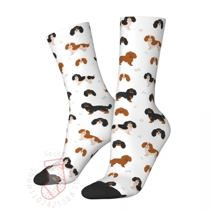 Fashion Cavalier King arles Spaniel Skateboard Socks Cute Animal Dog Polyester Long Socks for Women Men
Fashion Cavalier King arles Spaniel Skateboard Socks Cute Animal Dog Polyester Long Socks for Women Men