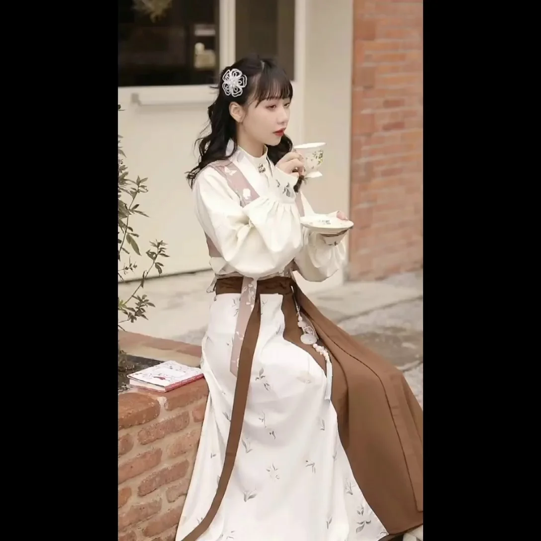 Spring/Summer Festival Hanfu Clothing Crane Printed Folk Dance Costume Top Skirt Set Traditional Chinese Clothing for Women
Spring/Summer Festival Hanfu Clothing Crane Printed Folk Dance Costume Top Skirt Set Traditional Chinese Clothing for Women