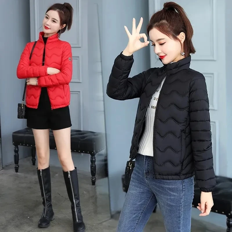 Solid Color small Cotton-padded Jacket Stitched Thickened Collar Cotton-padded Jacket Winter Warm Cotton-padded Jacket
Solid Color small Cotton-padded Jacket Stitched Thickened Collar Cotton-padded Jacket Winter Warm Cotton-padded Jacket
